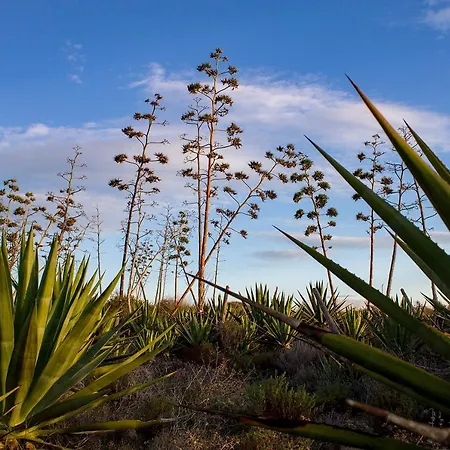 La Palmera. El Amanecer En El Parque Natural * Agua Amarga (Almeria)