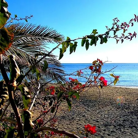 La Palmera. El Amanecer En El Parque Natural Agua Amarga (Almeria)